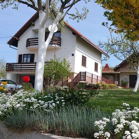 Apartment Ankica Seliste Dreznicko Exterior photo
