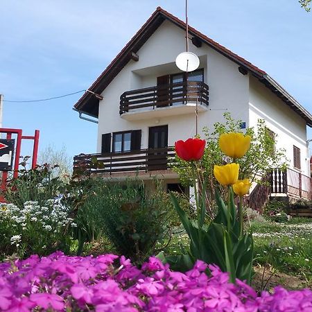 Apartment Ankica Seliste Dreznicko Exterior photo