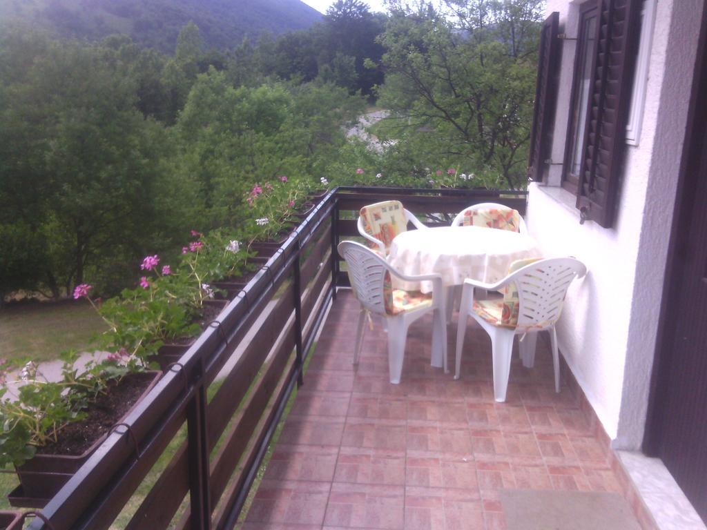 Apartment Ankica Seliste Dreznicko Room photo