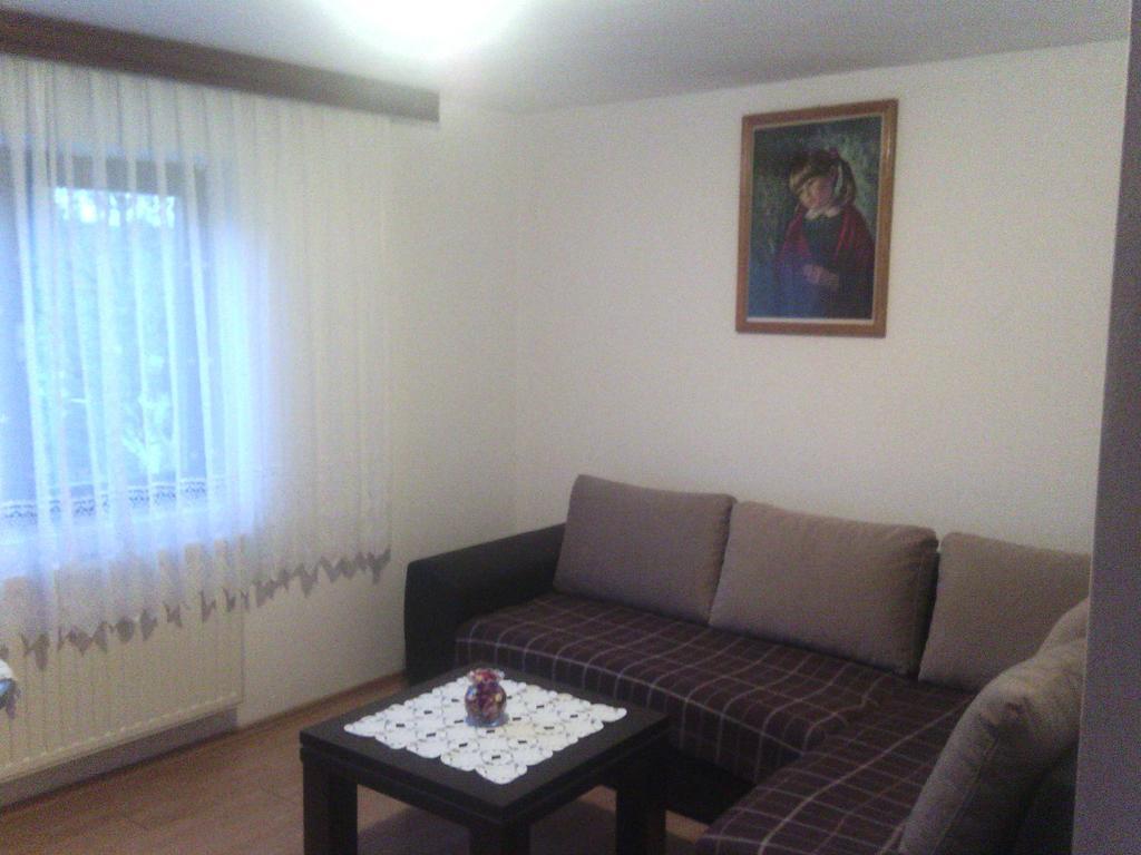 Apartment Ankica Seliste Dreznicko Room photo