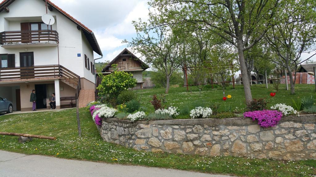 Apartment Ankica Seliste Dreznicko Exterior photo