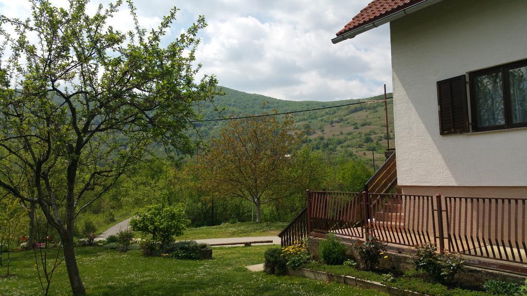Apartment Ankica Seliste Dreznicko Exterior photo