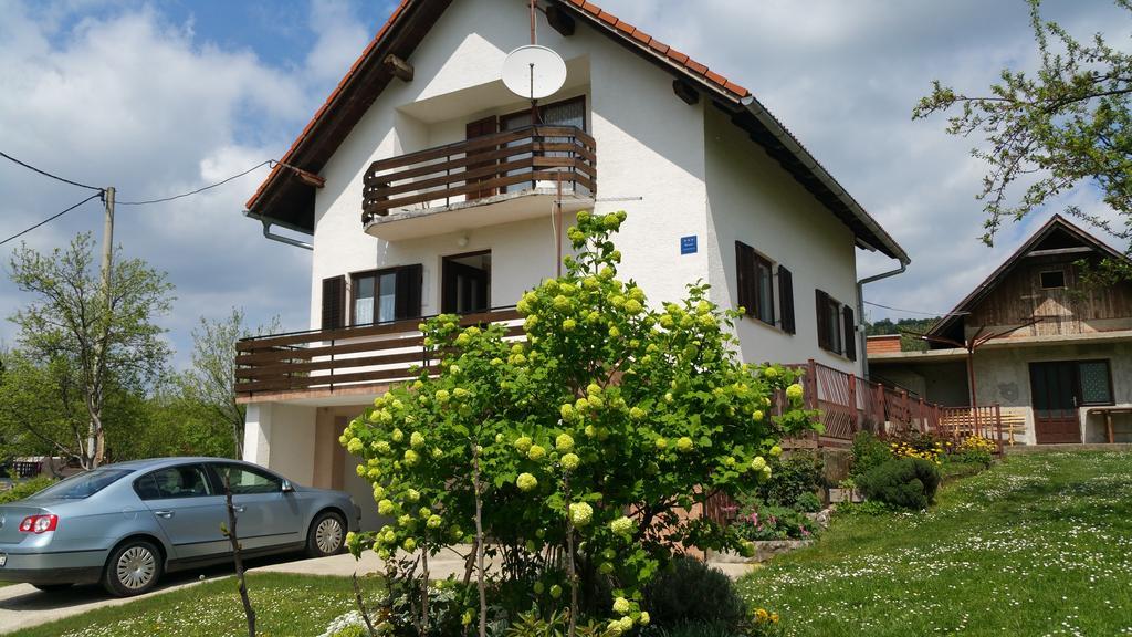 Apartment Ankica Seliste Dreznicko Exterior photo