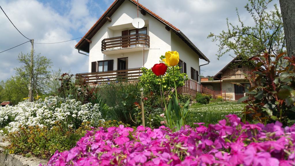 Apartment Ankica Seliste Dreznicko Exterior photo