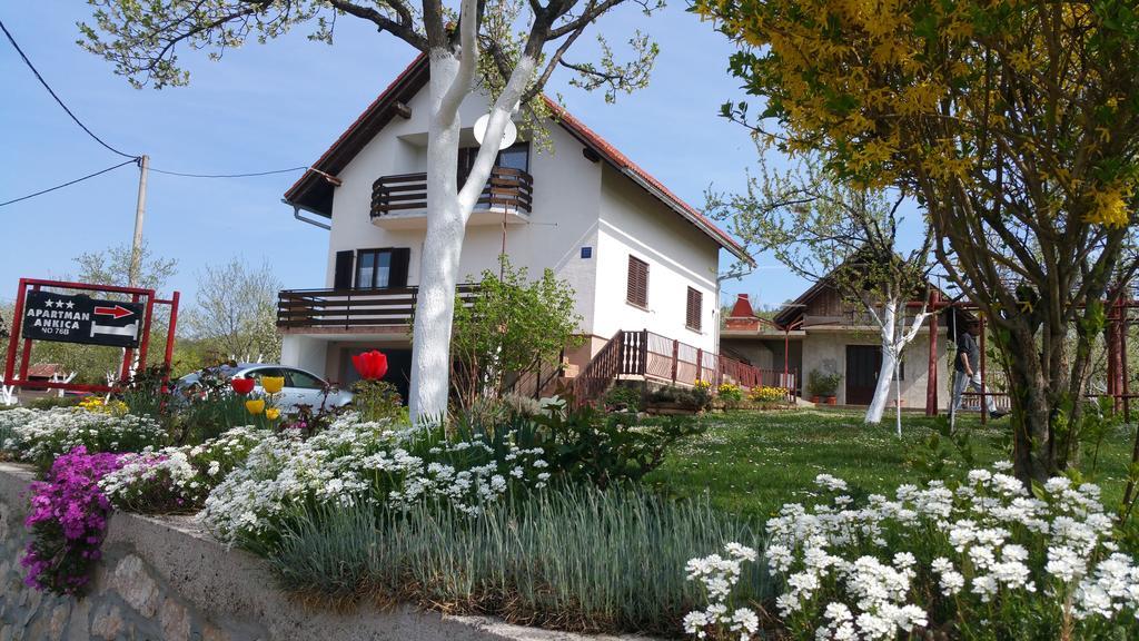 Apartment Ankica Seliste Dreznicko Exterior photo