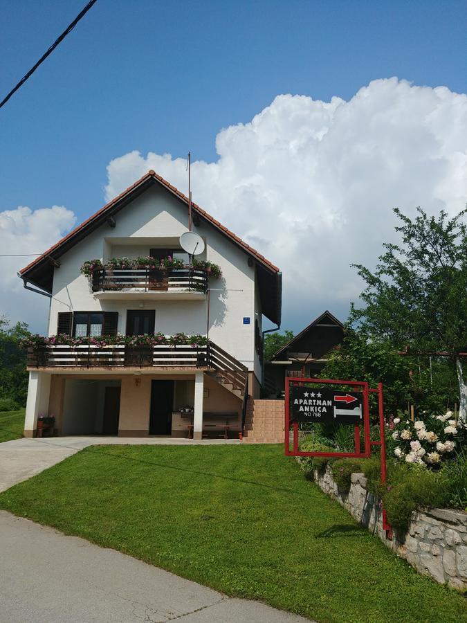 Apartment Ankica Seliste Dreznicko Exterior photo