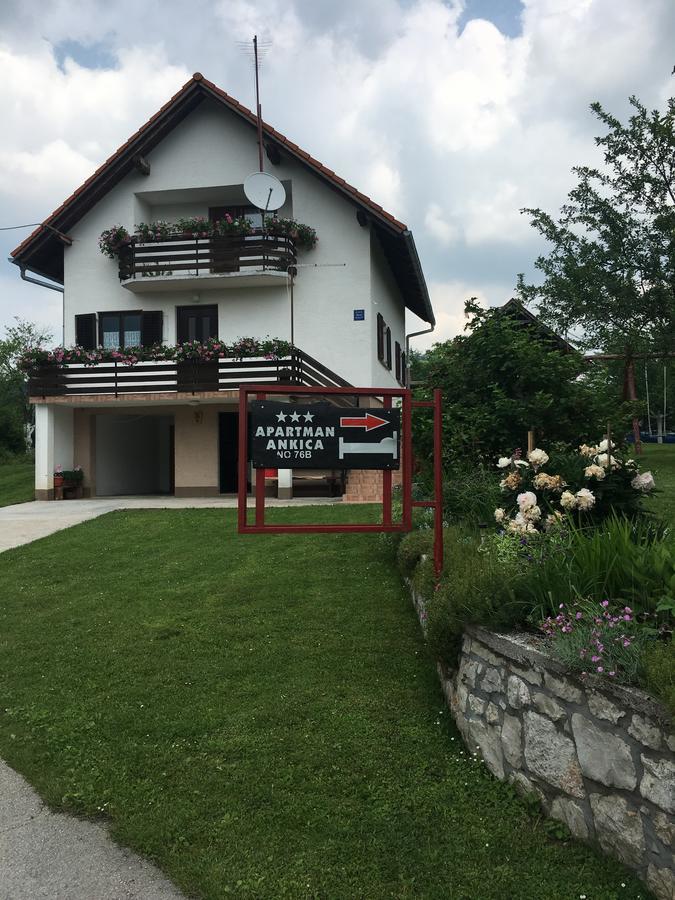 Apartment Ankica Seliste Dreznicko Exterior photo