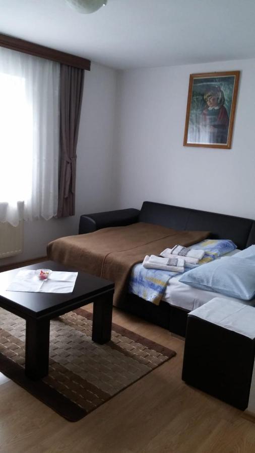 Apartment Ankica Seliste Dreznicko Exterior photo